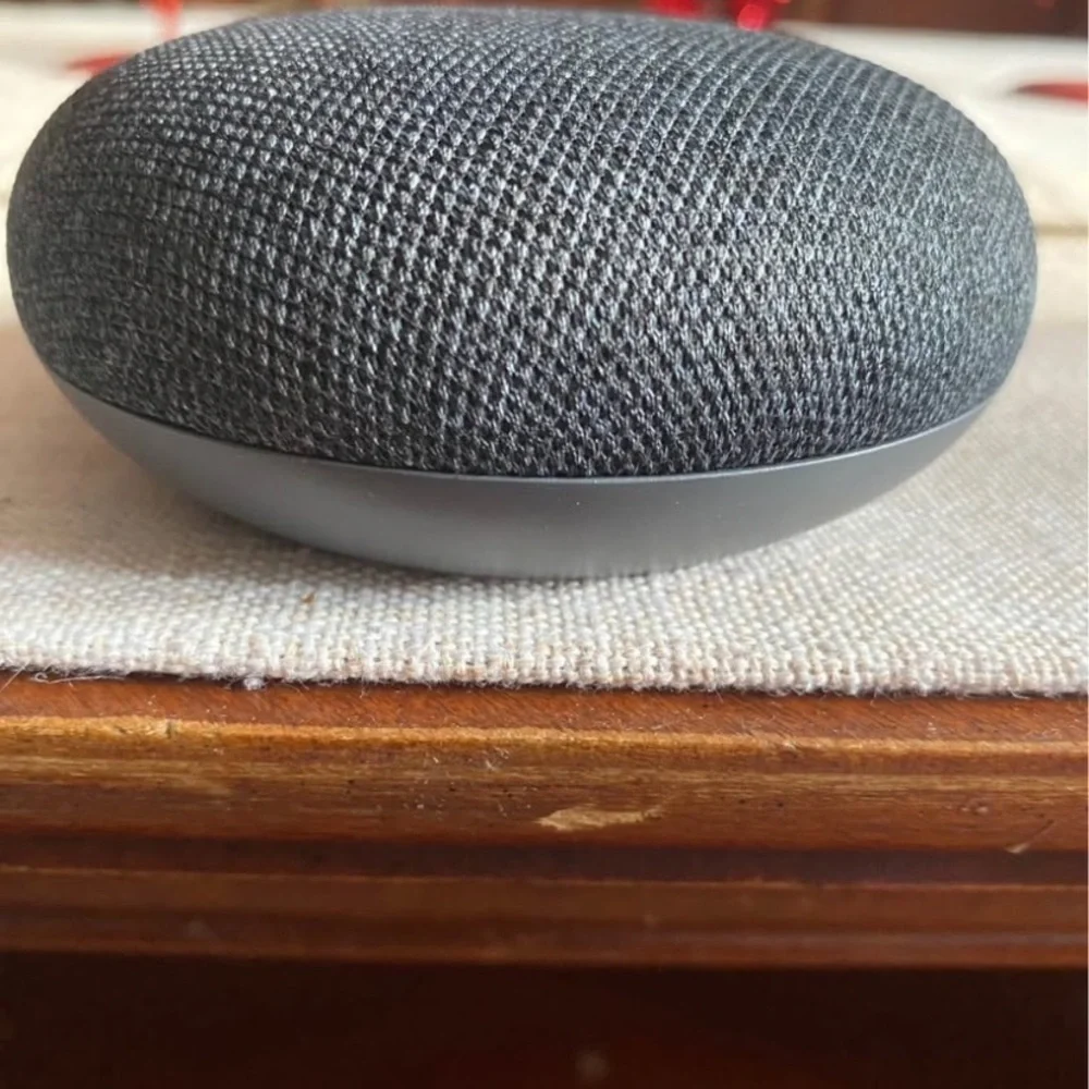 Google Nest Mini 1 Generation w/Wall Mount Power Clip 360